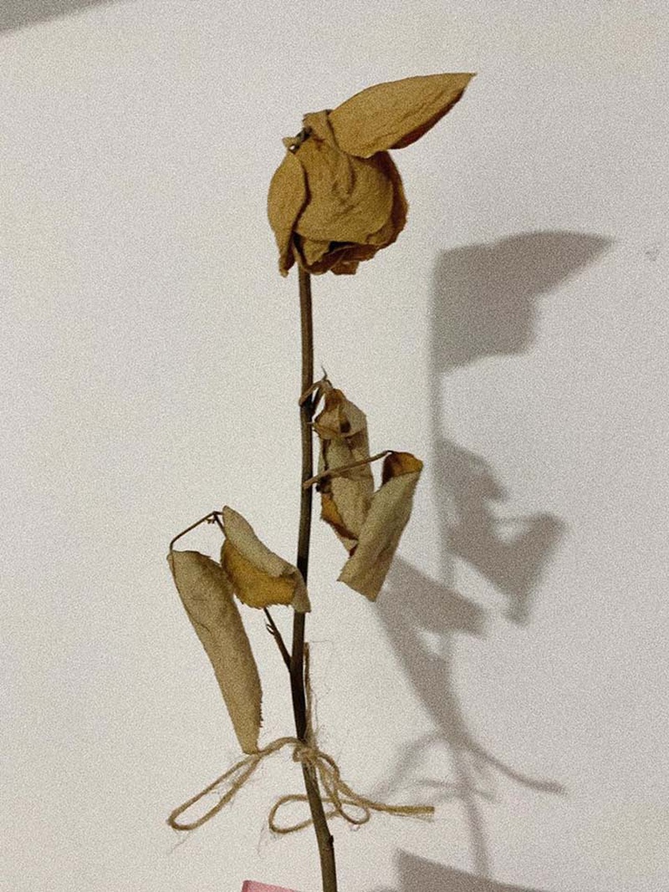 Cô gái Sài Gòn giảm 20kg, quyết “cưa đổ” người thương - 7 Cô gái Sài Gòn giảm 20kg, quyết “cưa đổ” người thương - 7