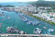 Xác minh thông tin một số chủ tàu cá trục lợi chính sách