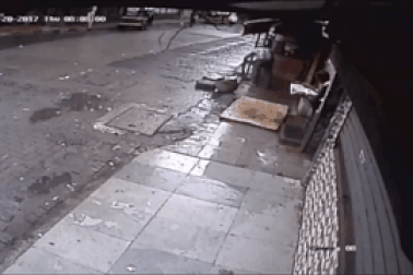 Cây đổ đè chết người đi đường ở Ấn Độ