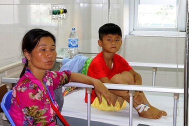 Một học sinh nhập viện do rắn cắn trong giờ ra chơi