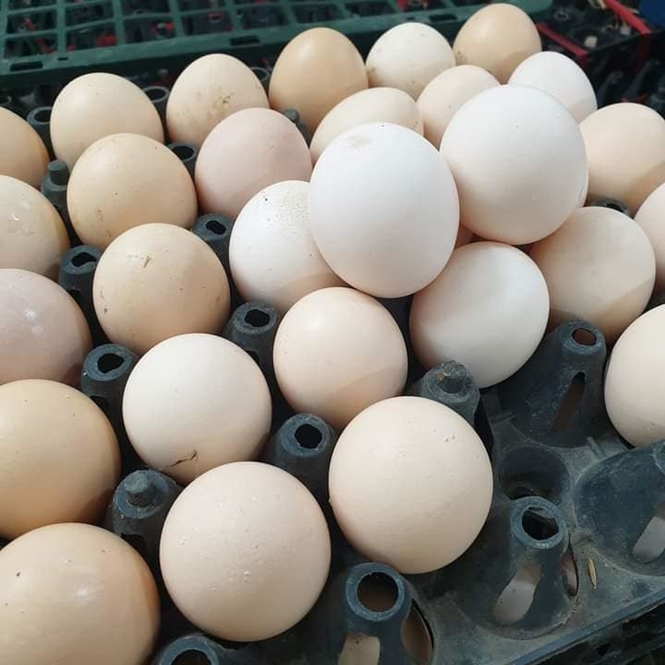 Trứng gà giảm giá kỷ lục, được rao bán la liệt rẻ chưa từng có - 1 Trứng gà giảm giá kỷ lục, được rao bán la liệt rẻ chưa từng có - 1