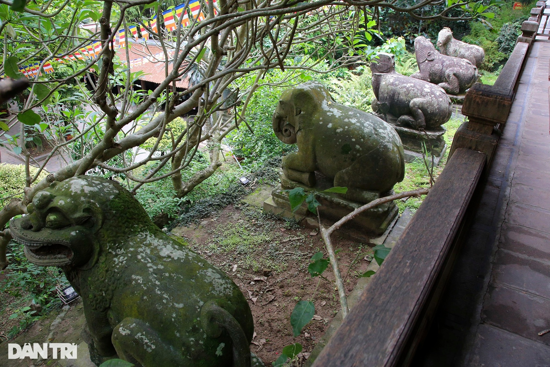 Hai bảo vật quốc gia độc bản nghìn năm tuổi chùa Phật Tích - 12