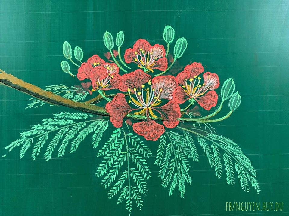 Thầy giáo vẽ hoa phượng lên bảng khiến người xem trầm trồ, ngưỡng mộ - 8 Thầy giáo vẽ hoa phượng lên bảng khiến người xem trầm trồ, ngưỡng mộ - 8