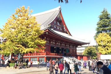 Du lịch Nhật Bản - Thưởng ngoạn mùa lá đỏ rực rỡ chỉ với 21 triệu.