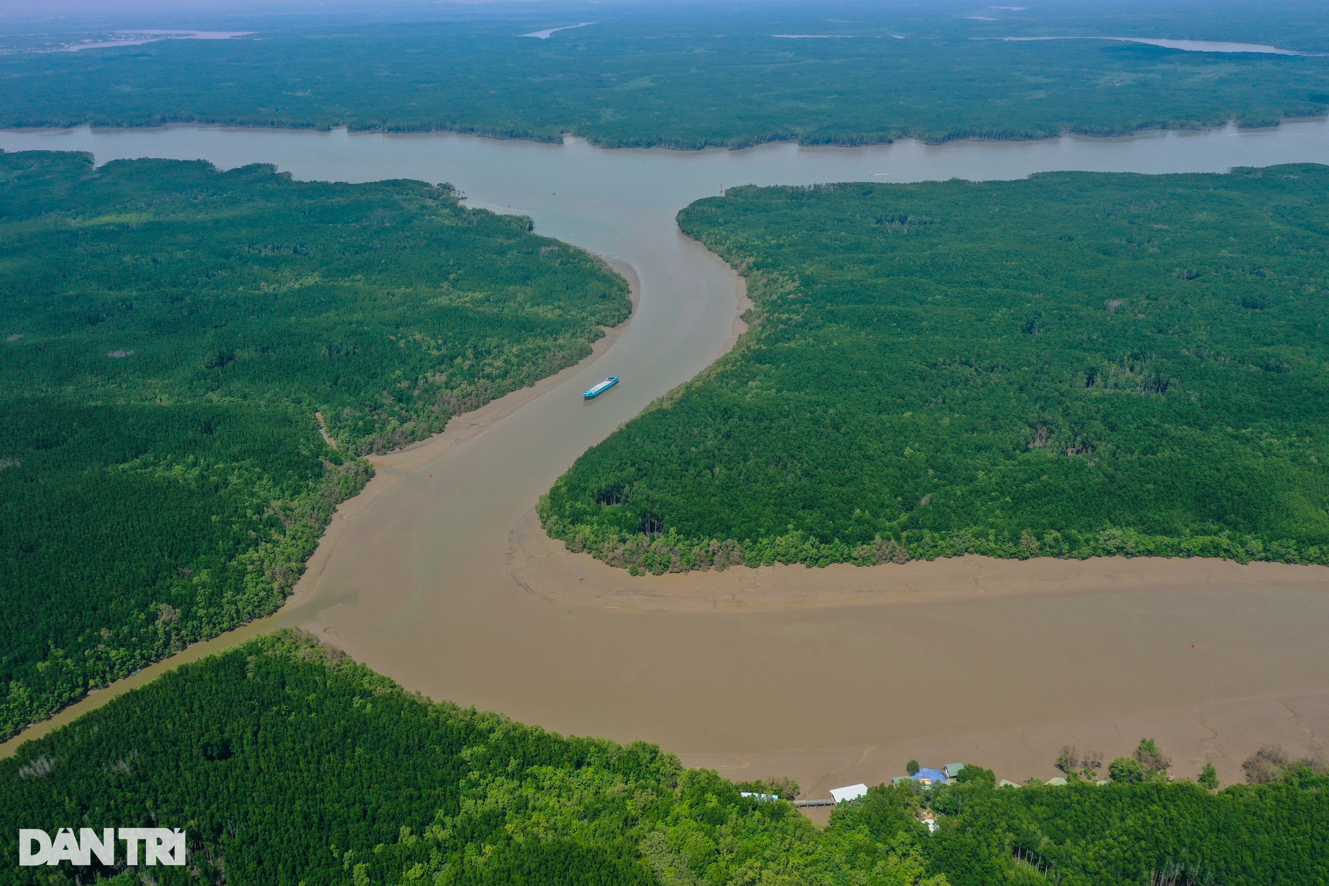 Cận cảnh rừng phòng hộ Cần Giờ được đề cử thành khu Ramsar thế giới - 1 Cận cảnh rừng phòng hộ Cần Giờ được đề cử thành khu Ramsar thế giới - 1