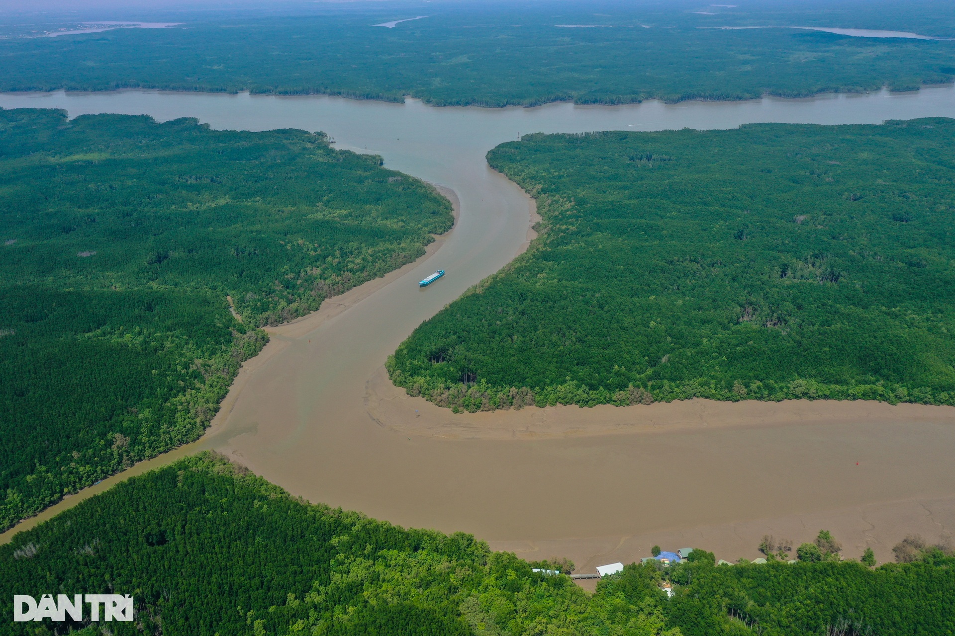 Cận cảnh rừng phòng hộ Cần Giờ được đề cử thành khu Ramsar thế giới - 1