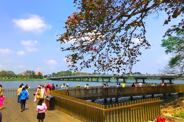 Cầu gỗ lim Huế nhộn nhịp đón người dân du Xuân những ngày đầu năm