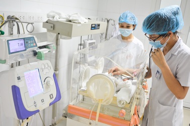 Lên cơn dại, mẹ tử vong, trẻ sinh non nguy kịch