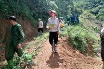 Người phụ nữ mất tích khi vào rừng lấy măng ở Hòa Bình