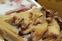 Hơn 1 tấn thịt rỉ nước, hôi thối trên xe khách