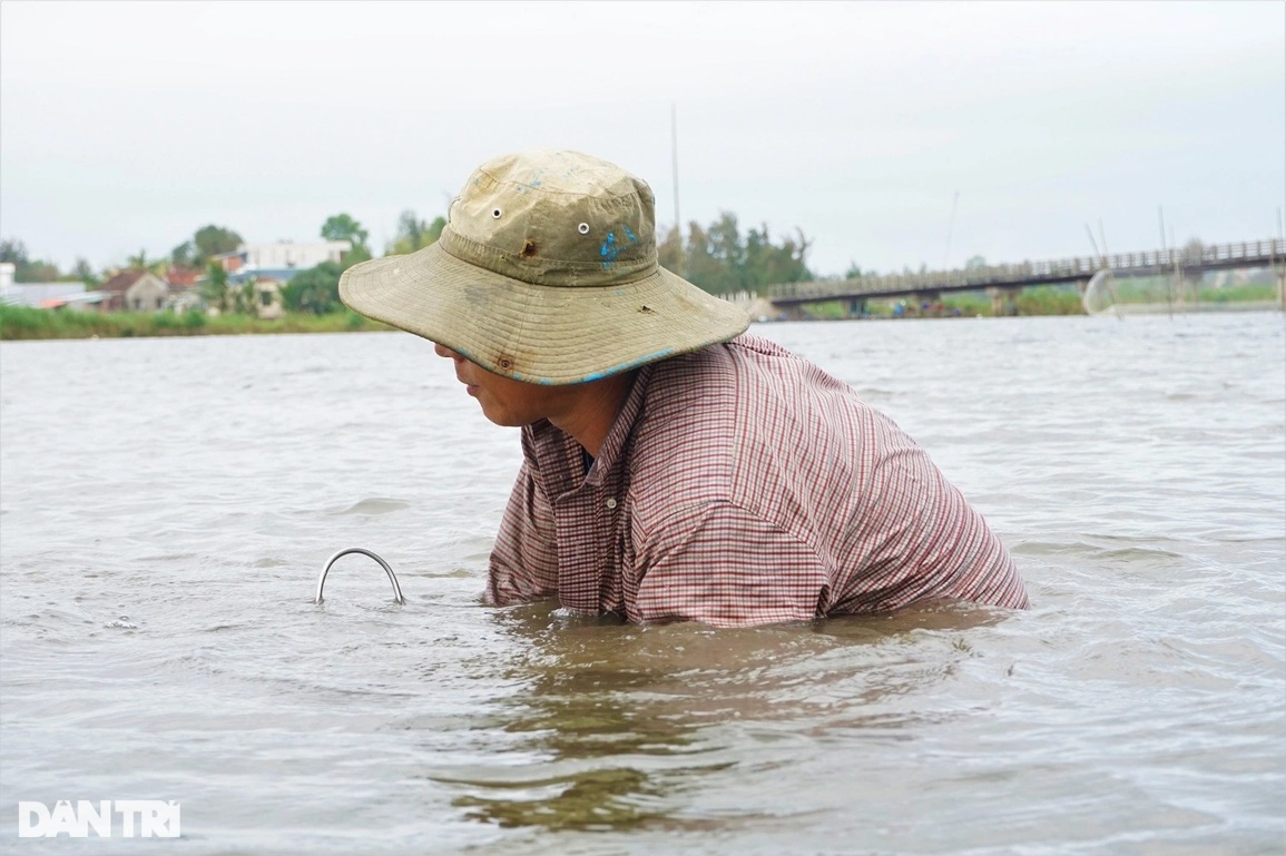 Theo chân những người dầm mình, ngâm nước cào hến ở sông Trường Giang - 7 Theo chân những người dầm mình, ngâm nước cào hến ở sông Trường Giang - 7