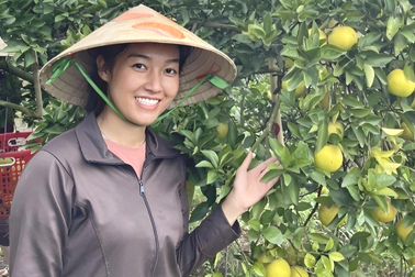 Cô gái Bình Dương rời trời Tây về quê làm nông dân, thành công thu tiền tỷ