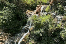 Khách Tây tiết lộ lý do "băng rừng, vượt núi" đến tắm thác Du Già Hà Giang