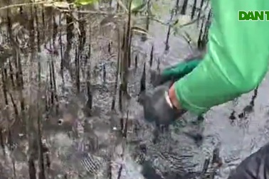 Khoảnh khắc mò cua, bắt ốc siêu đáng yêu của cô gái Ukraine tại Việt Nam