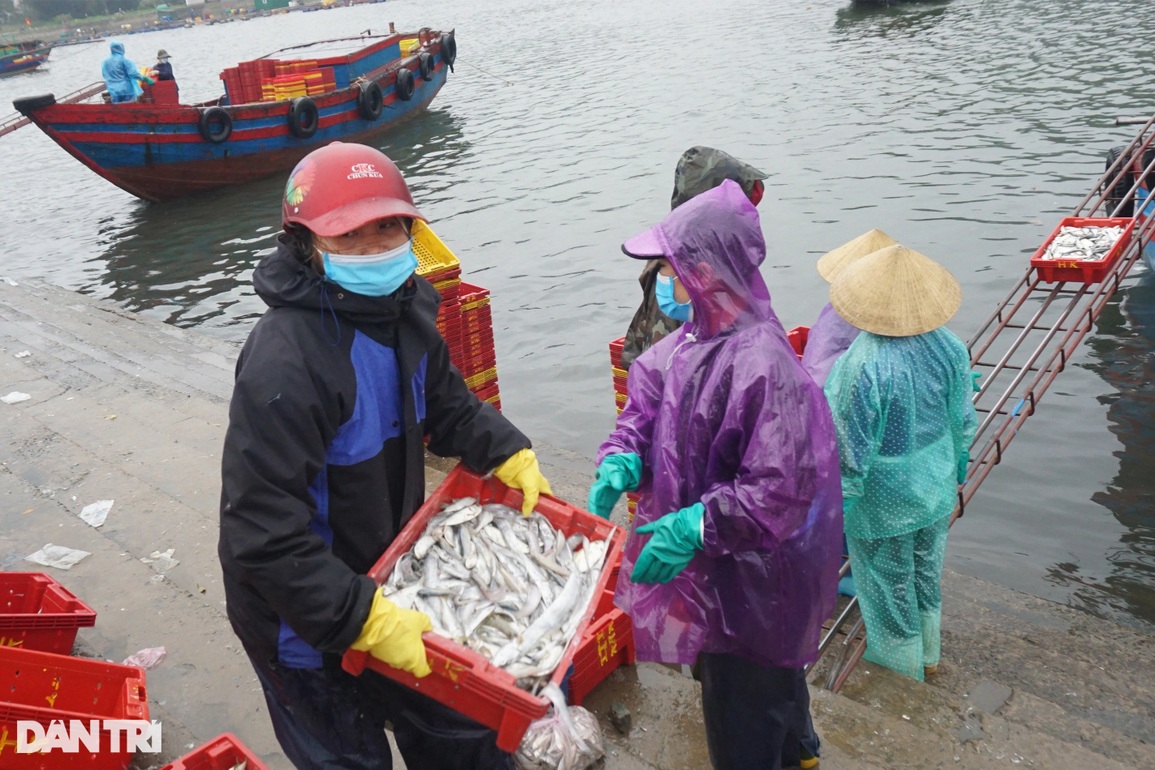 Đội mưa rét kiếm ngày triệu bạc, thợ bốc xếp ở cảng cá mơ Tết ấm - 4 Đội mưa rét kiếm ngày triệu bạc, thợ bốc xếp ở cảng cá mơ Tết ấm - 4