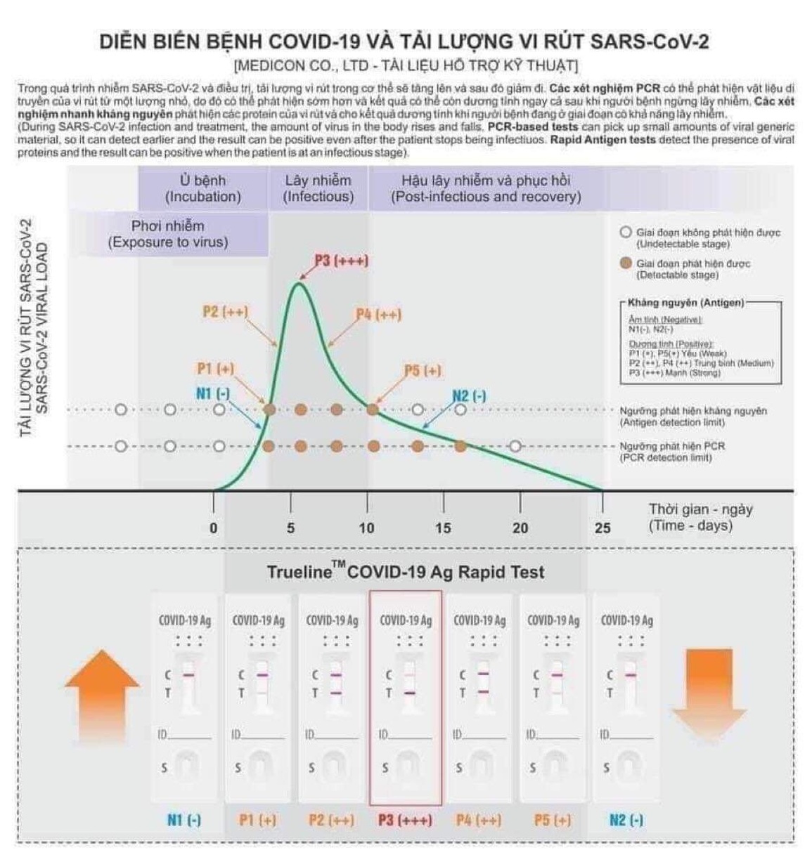 Bị ho, sốt nên test nhanh vào ngày nào để hiệu quả cao nhất? - 1 Bị ho, sốt nên test nhanh vào ngày nào để hiệu quả cao nhất? - 1