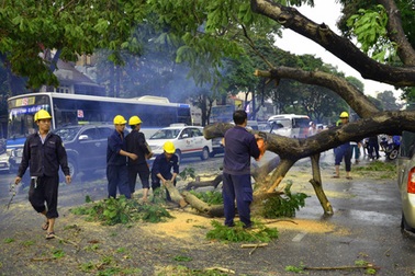 TPHCM thu hồi hơn 45 tỷ đồng của bốn công ty công ích