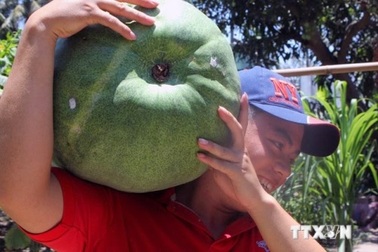 Khám phá bốn ngôi làng Việt độc đáo