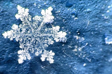 Lặng ngắm vẻ đẹp kỳ diệu của những bông tuyết