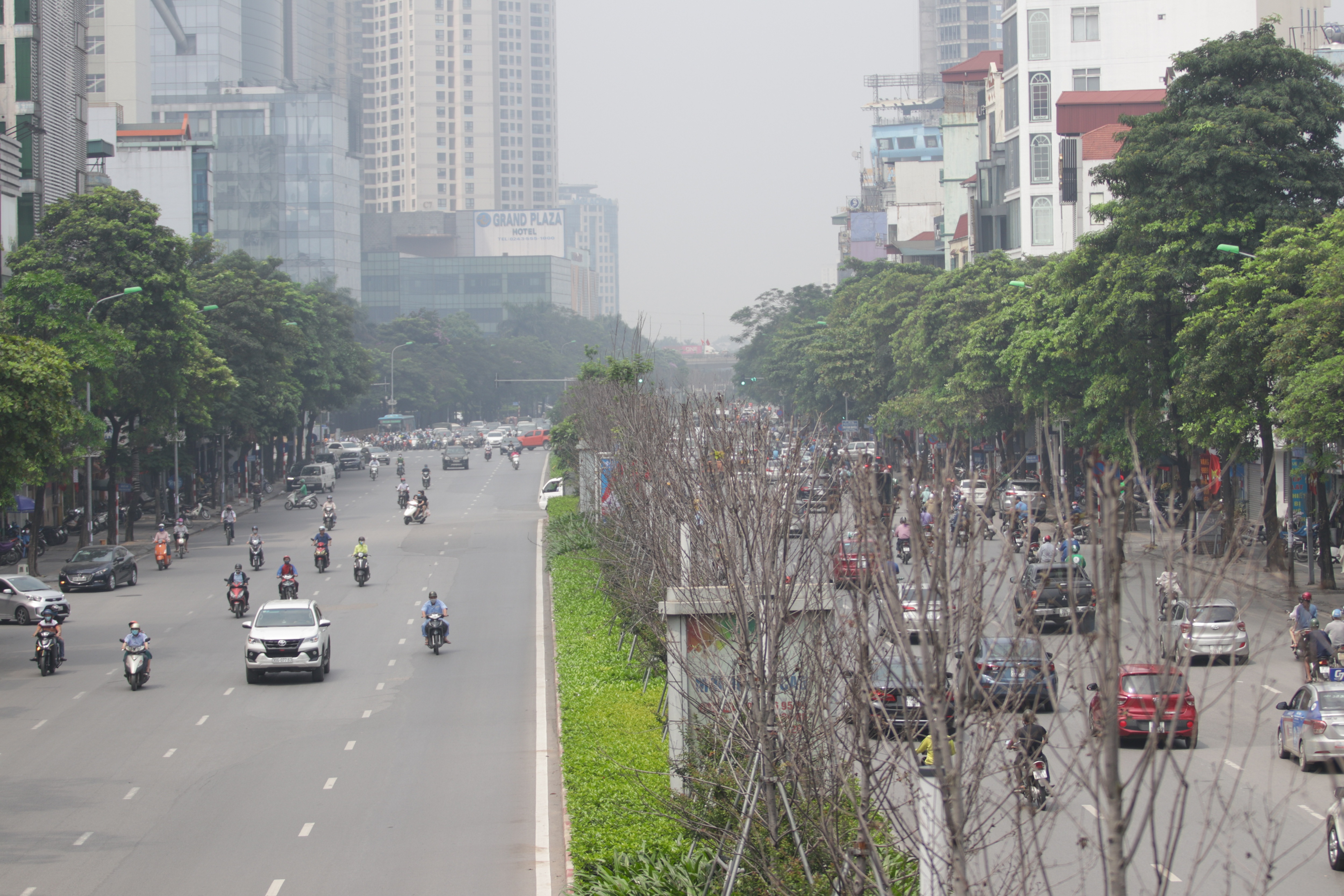 Nắng nóng thiêu đốt hàng trăm cây phong lá đỏ "sống như chết khô"