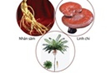 3 thảo mộc dành cho quý ông