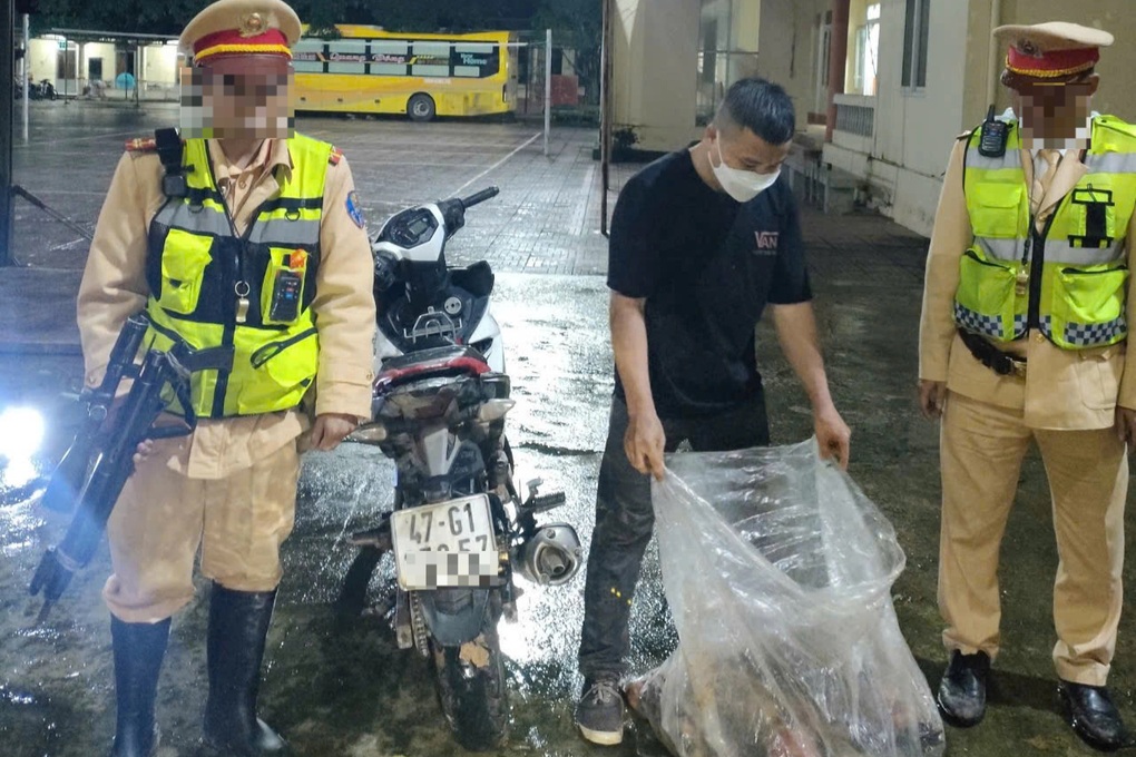 Bắt giữ đối tượng dùng súng bắn chết 3 cá thể khỉ ở Khánh Hòa - 1