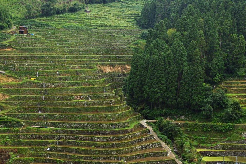 Vẻ đẹp hoang sơ của những cánh đồng ruộng bậc thang tại Nhật - 5 Vẻ đẹp hoang sơ của những cánh đồng ruộng bậc thang tại Nhật - 5