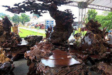 Cận cảnh bộ bàn ghế gỗ nu được rao bán hơn 1 tỷ đồng tại Hà Nội