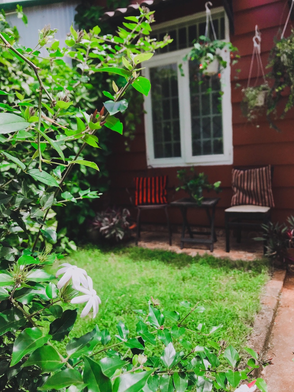 Đóng cửa chuỗi cửa hàng kinh doanh, cô gái ở Lâm Đồng về quê trồng hoa, đọc sách - 6 Đóng cửa chuỗi cửa hàng kinh doanh, cô gái ở Lâm Đồng về quê trồng hoa, đọc sách - 6