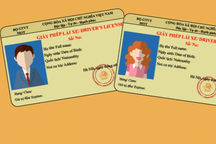 Thực hư thông tin cấp bằng lái xe cho hơn 4.000 người tâm thần