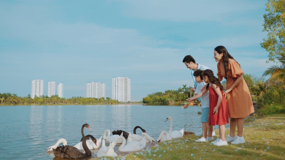 Ngắm hồ thiên nga dưới ánh hoàng hôn ngay phía Đông Hà Nội - 4 Ngắm hồ thiên nga dưới ánh hoàng hôn ngay phía Đông Hà Nội - 4