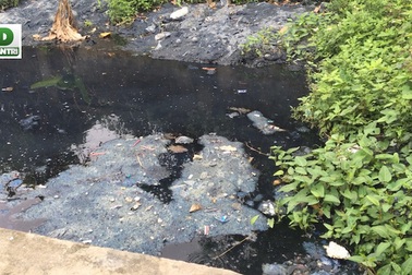 UBND tỉnh Hưng Yên chỉ đạo xử nghiêm doanh nghiệp “bức tử” môi trường