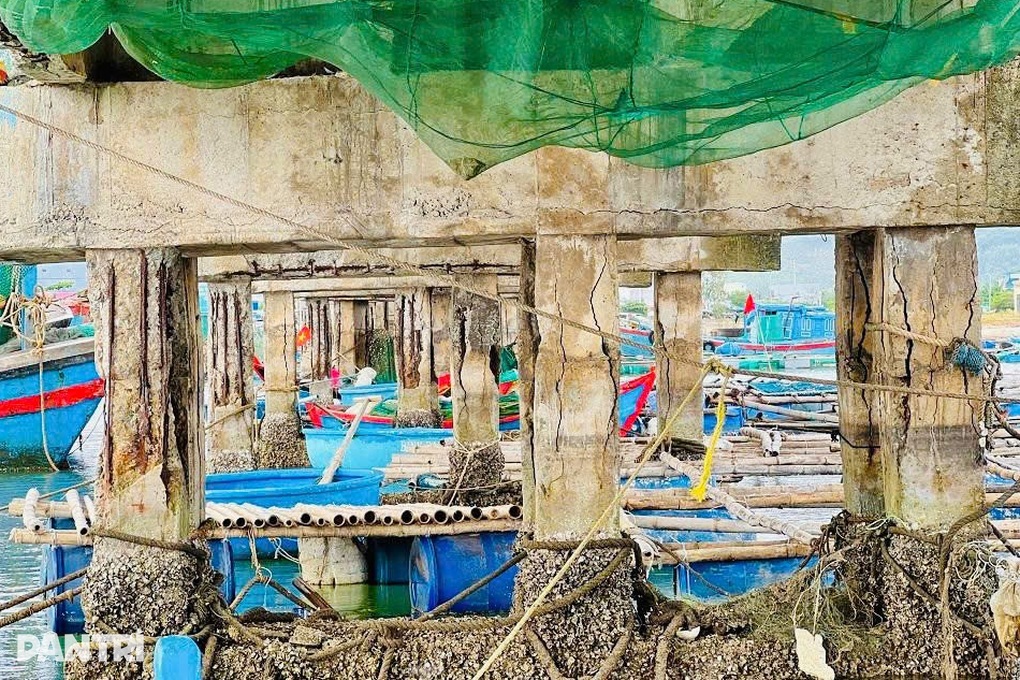Cầu có nguy cơ sập vẫn “gánh” dây neo của hàng chục con tàu - 2 Cầu có nguy cơ sập vẫn “gánh” dây neo của hàng chục con tàu - 2