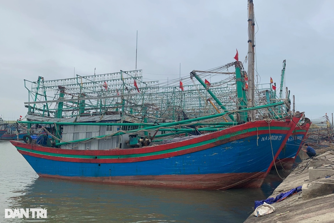 Mang tàu khủng lên mạng xã hội rao bán giữa bão giá nhiên liệu - 5 Mang tàu khủng lên mạng xã hội rao bán giữa bão giá nhiên liệu - 5