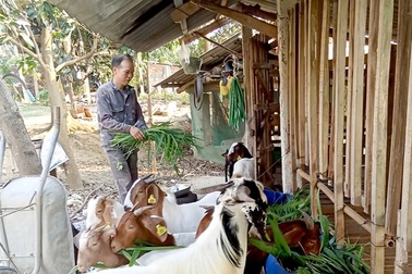 Tuyên Quang: Phát huy nội lực để giảm nghèo bền vững