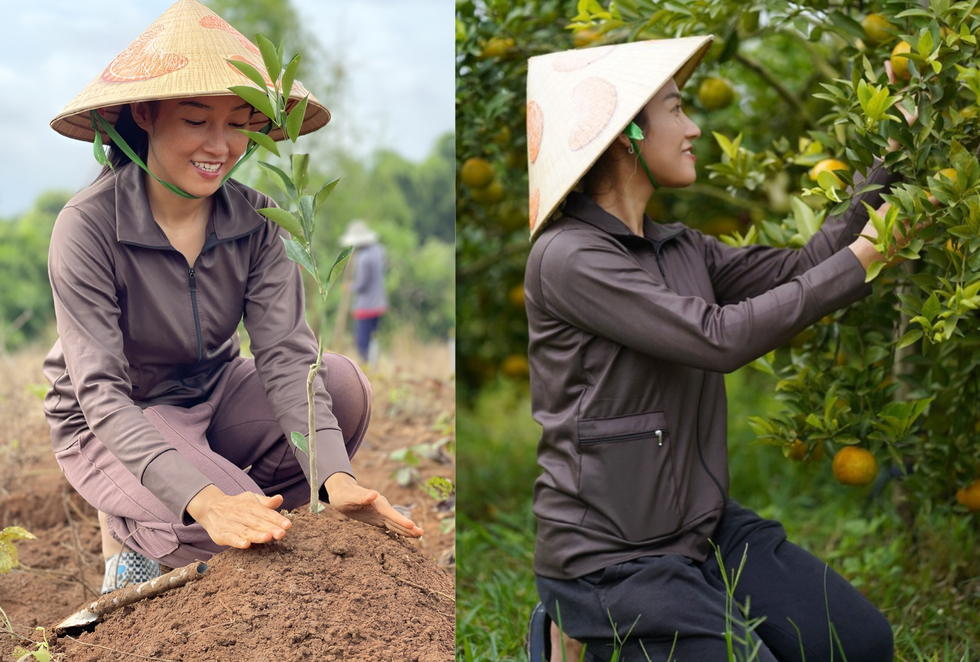 Cô gái Bình Dương rời trời Tây về quê làm nông dân, thành công thu tiền tỷ - 2