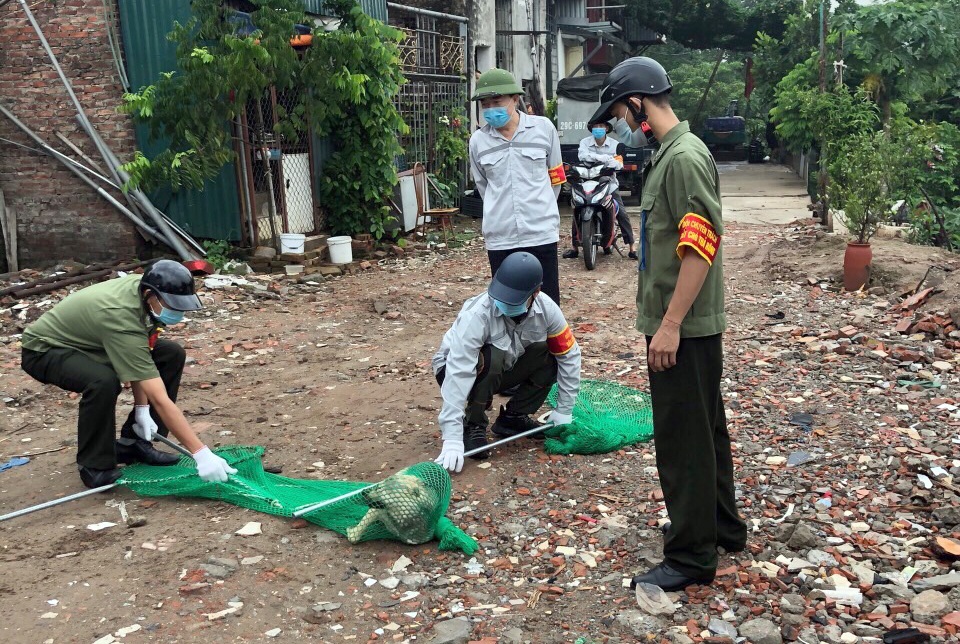 Quận Ba Đình lập đội phản ứng nhanh bắt chó thả rông - 4 Quận Ba Đình lập đội phản ứng nhanh bắt chó thả rông - 4