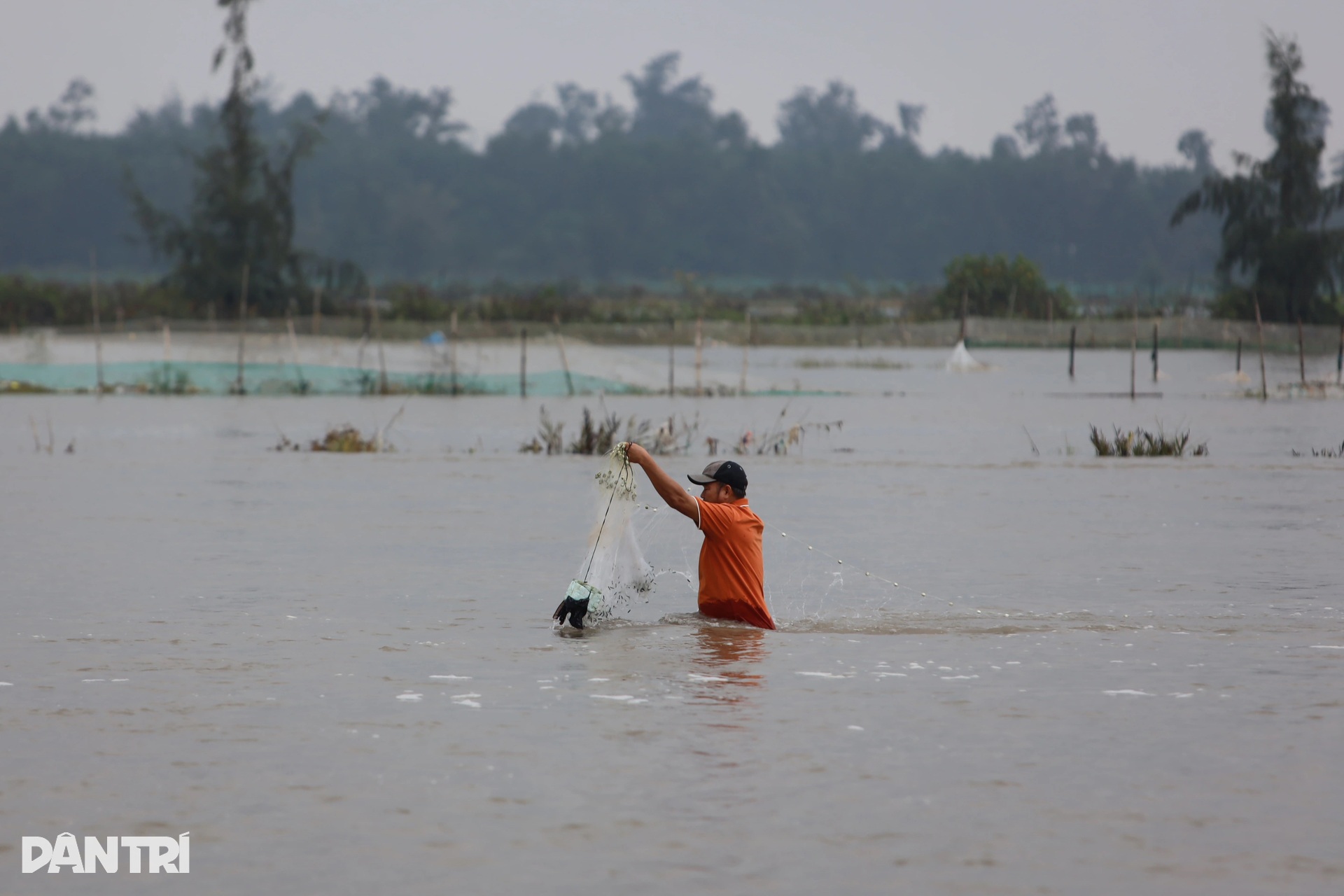 Rừng phòng hộ biến mất, sóng biển đe dọa khu dân cư - 2