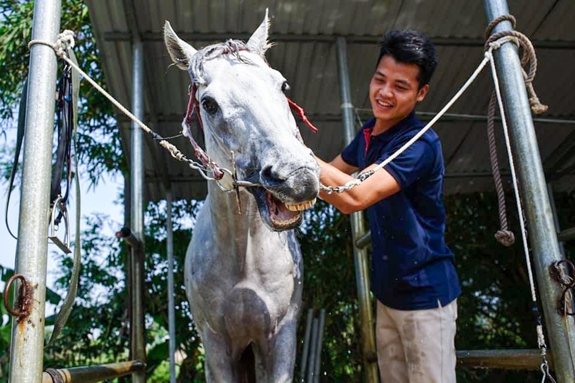 Người Hà Nội rủ nhau học cưỡi ngựa theo phong cách châu Âu - 6 Người Hà Nội rủ nhau học cưỡi ngựa theo phong cách châu Âu - 6