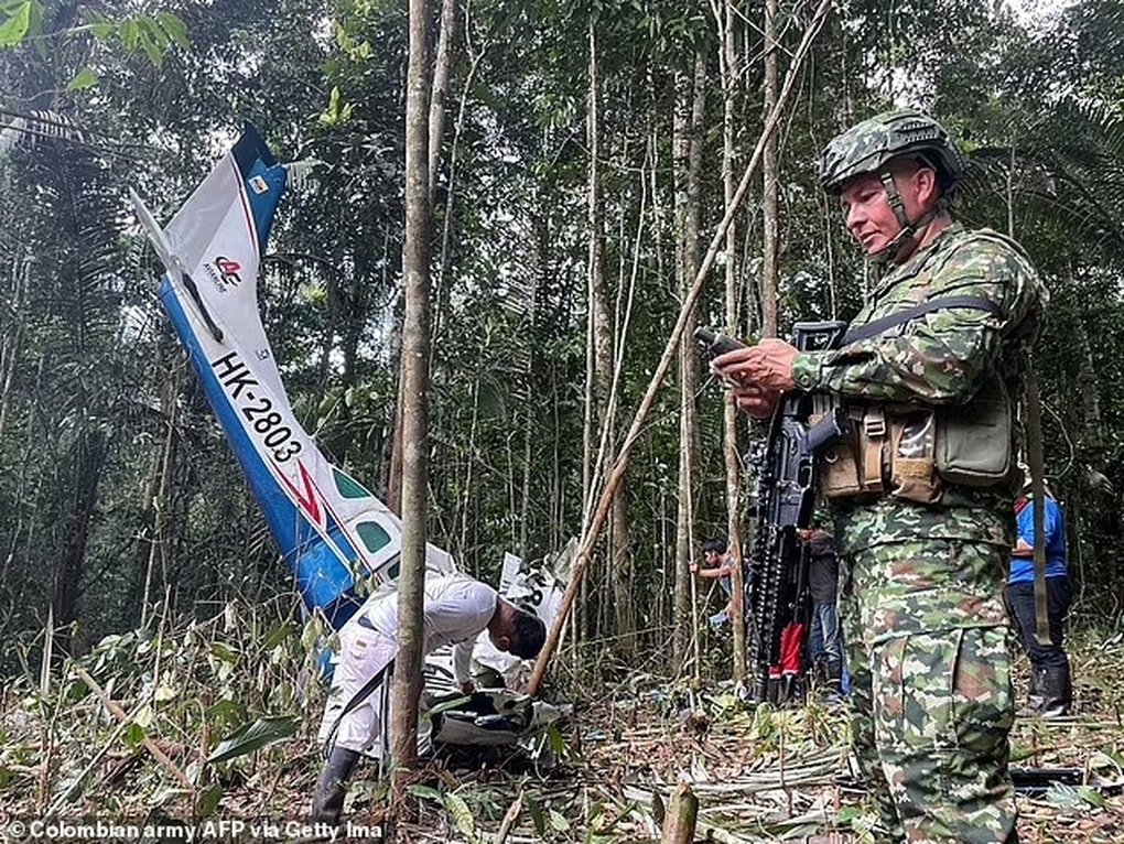 Tình tiết mới về cuộc sinh tồn của 4 trẻ Colombia sau vụ rơi máy bay - 3 Tình tiết mới về cuộc sinh tồn của 4 trẻ Colombia sau vụ rơi máy bay - 3