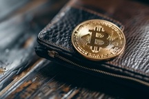 Giá Bitcoin phá đỉnh, cảnh giác mất sạch vì ứng dụng lừa đảo này