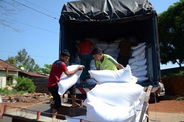 Hơn 27000 người nghèo được cấp gạo cứu đói ăn tết