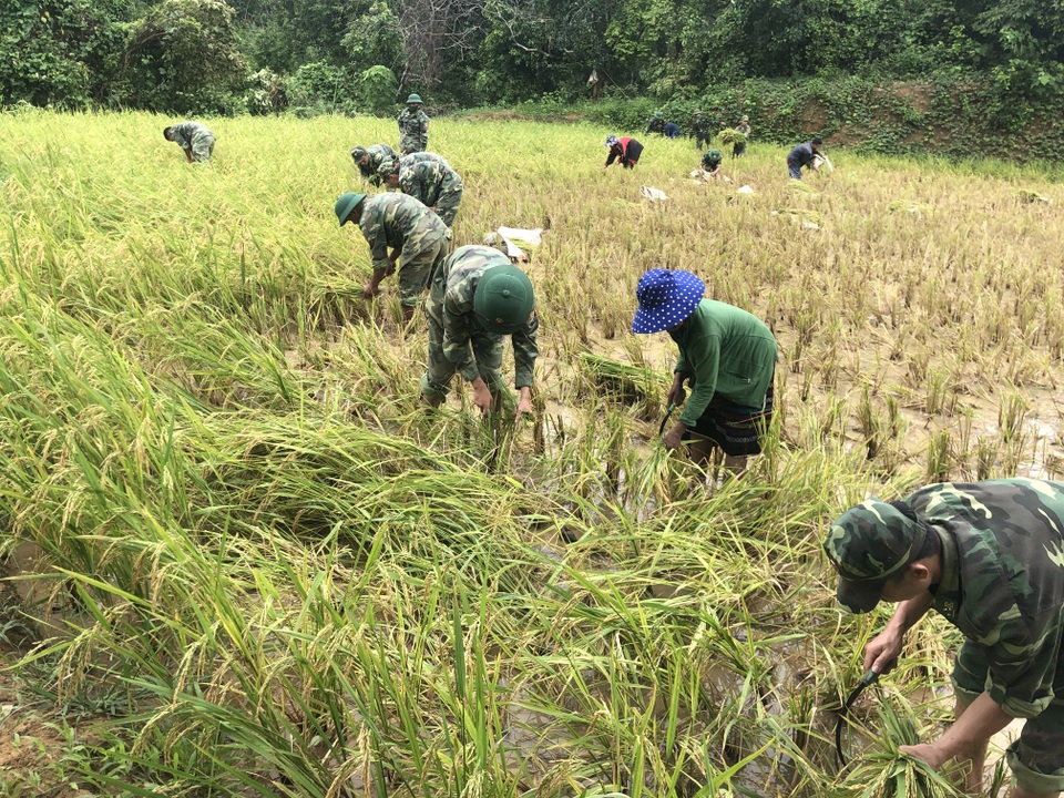 Quảng Trị: Thanh niên Biên phòng giúp dân khắc phục hậu quả sau bão - 4 Quảng Trị: Thanh niên Biên phòng giúp dân khắc phục hậu quả sau bão - 4