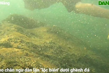 Người đội sóng, ngụp lặn săn "lộc biển" dưới ghềnh đá