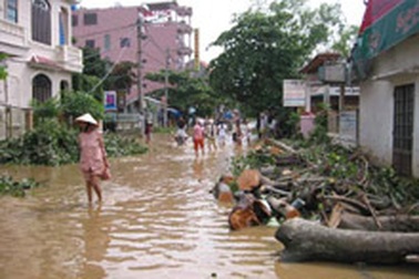 5 năm, thiên tai gây thiệt hại 13.500 tỷ đồng
