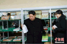 Lý giải sự xuất hiện dày đặc của em gái Kim Jong-un