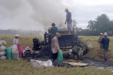 Ngồi trên kho thóc, nông dân vẫn nghèo