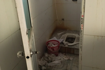 Ám ảnh nhà vệ sinh trường học: Học sinh bỏ dở buổi về nhà "giải quyết"