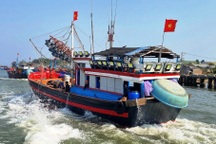 Tàu cá vi phạm khai thác IUU, người đứng đầu cấp xã phải chịu trách nhiệm
