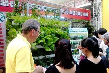 1 ha rau thủy canh ở TPHCM thu đến 5 tỷ đồng/năm